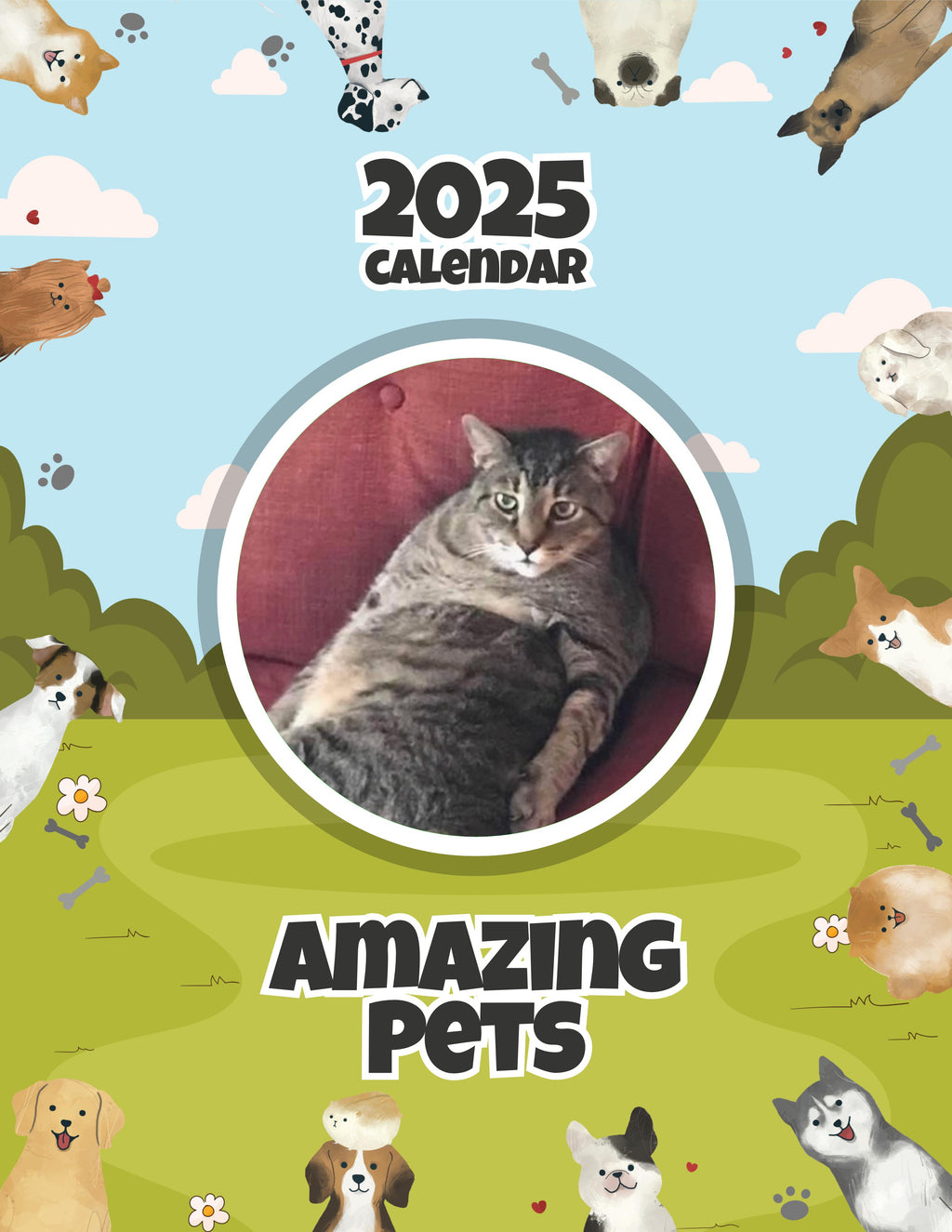 Amazing Pets: 2025 Wall Calendar (Pre-Order)
