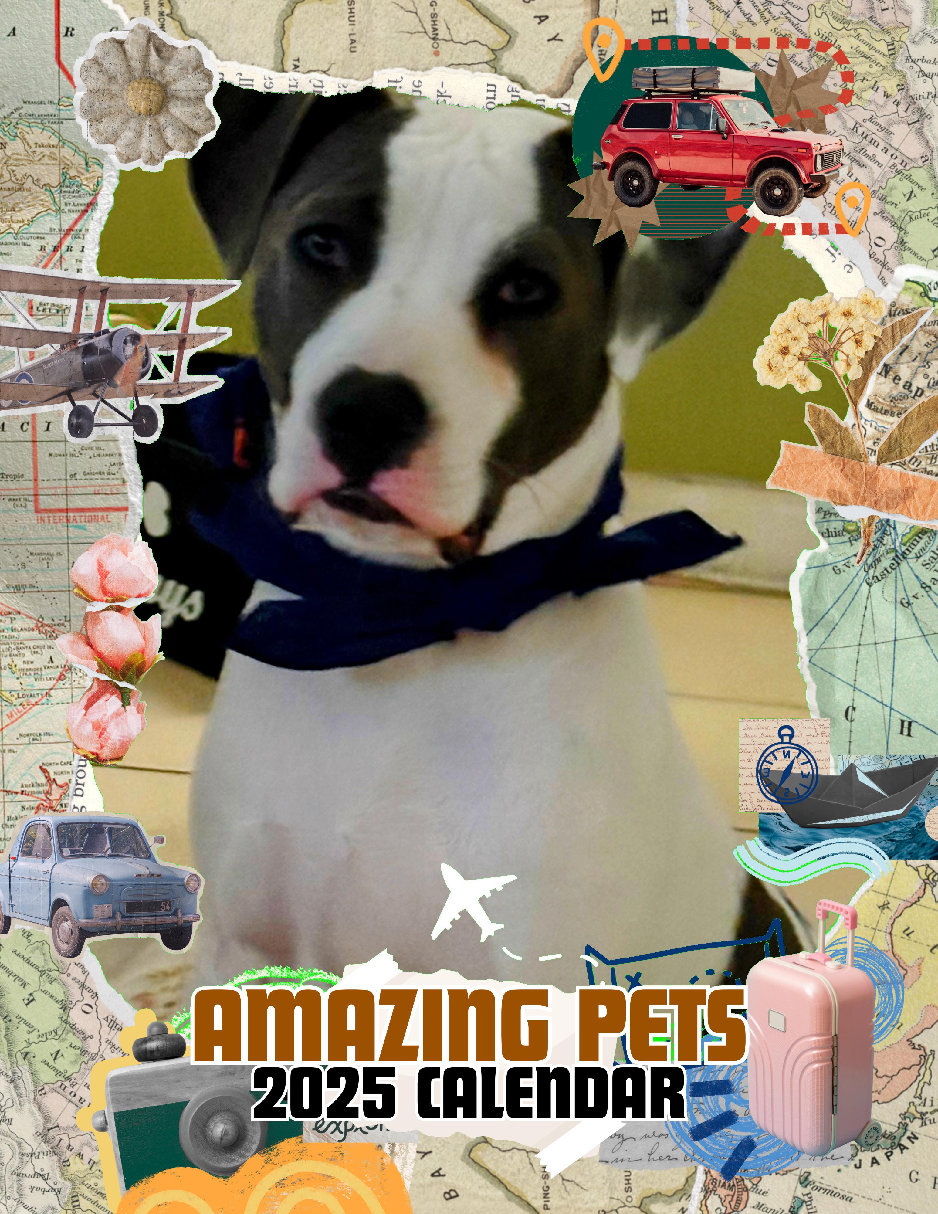 Amazing Pets: 2025 Wall Calendar (Pre-Order)