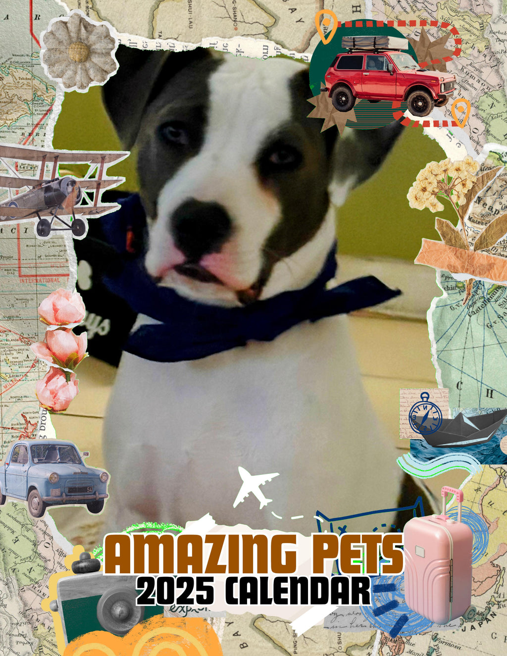 Amazing Pets: 2025 Wall Calendar (Pre-Order)
