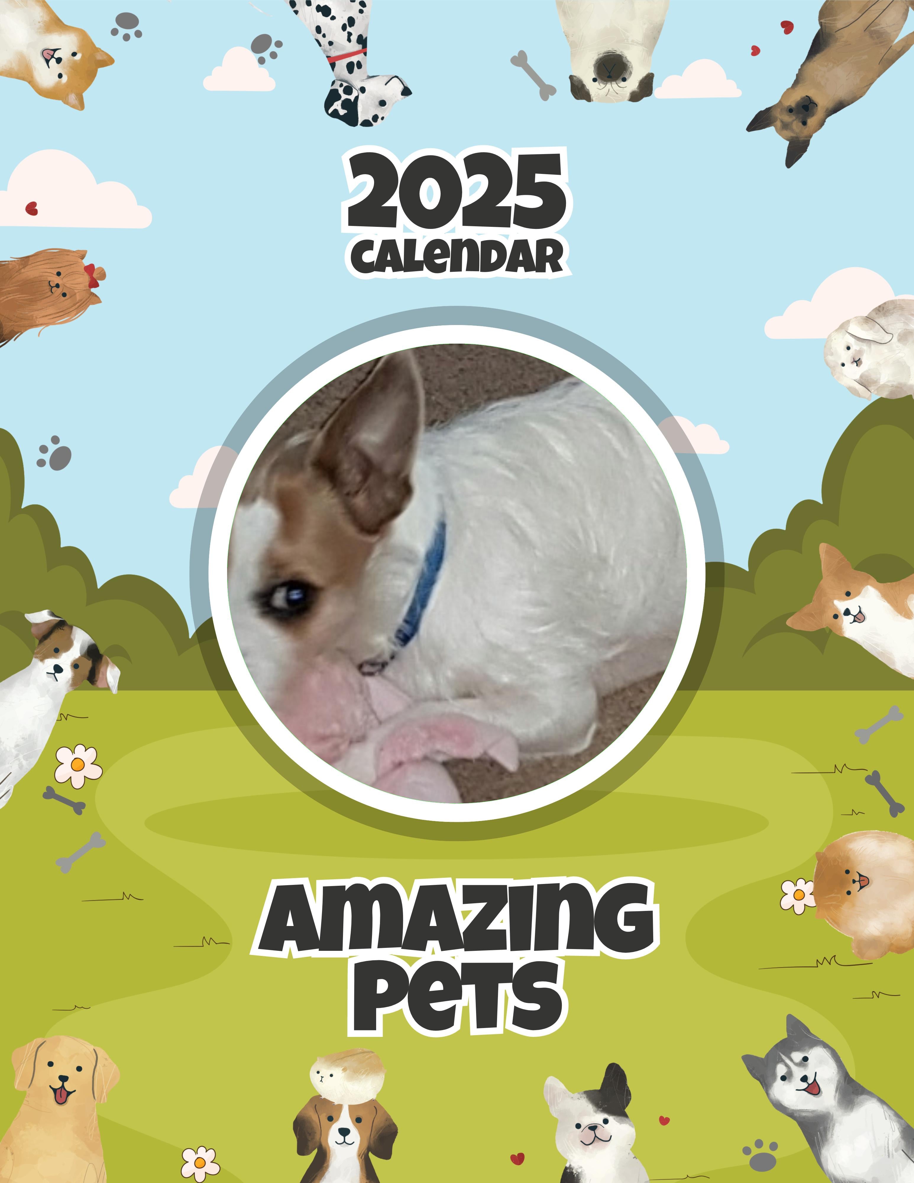 Amazing Pets: 2025 Wall Calendar (Pre-Order)