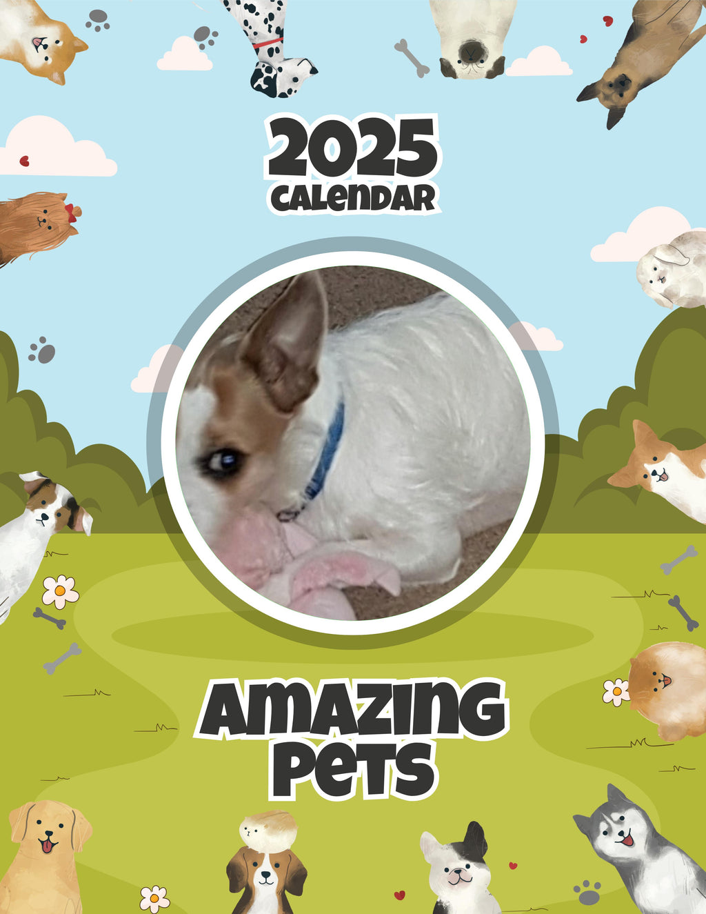 Amazing Pets: 2025 Wall Calendar (Pre-Order)