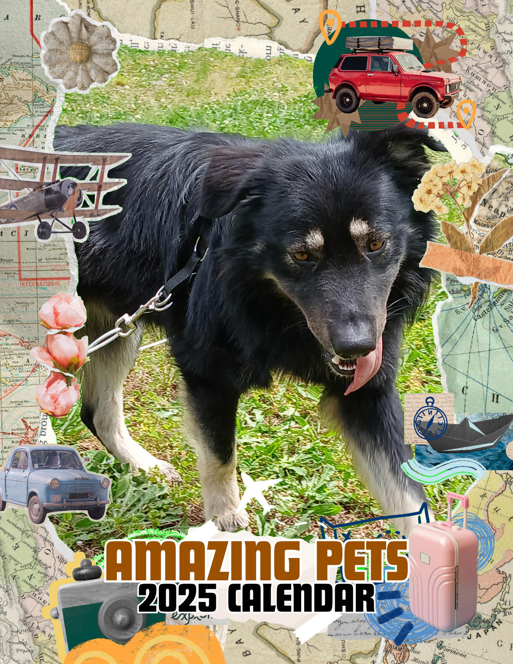 Amazing Pets: 2025 Wall Calendar (Pre-Order)