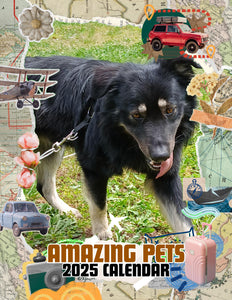 Amazing Pets: 2025 Wall Calendar (Pre-Order)
