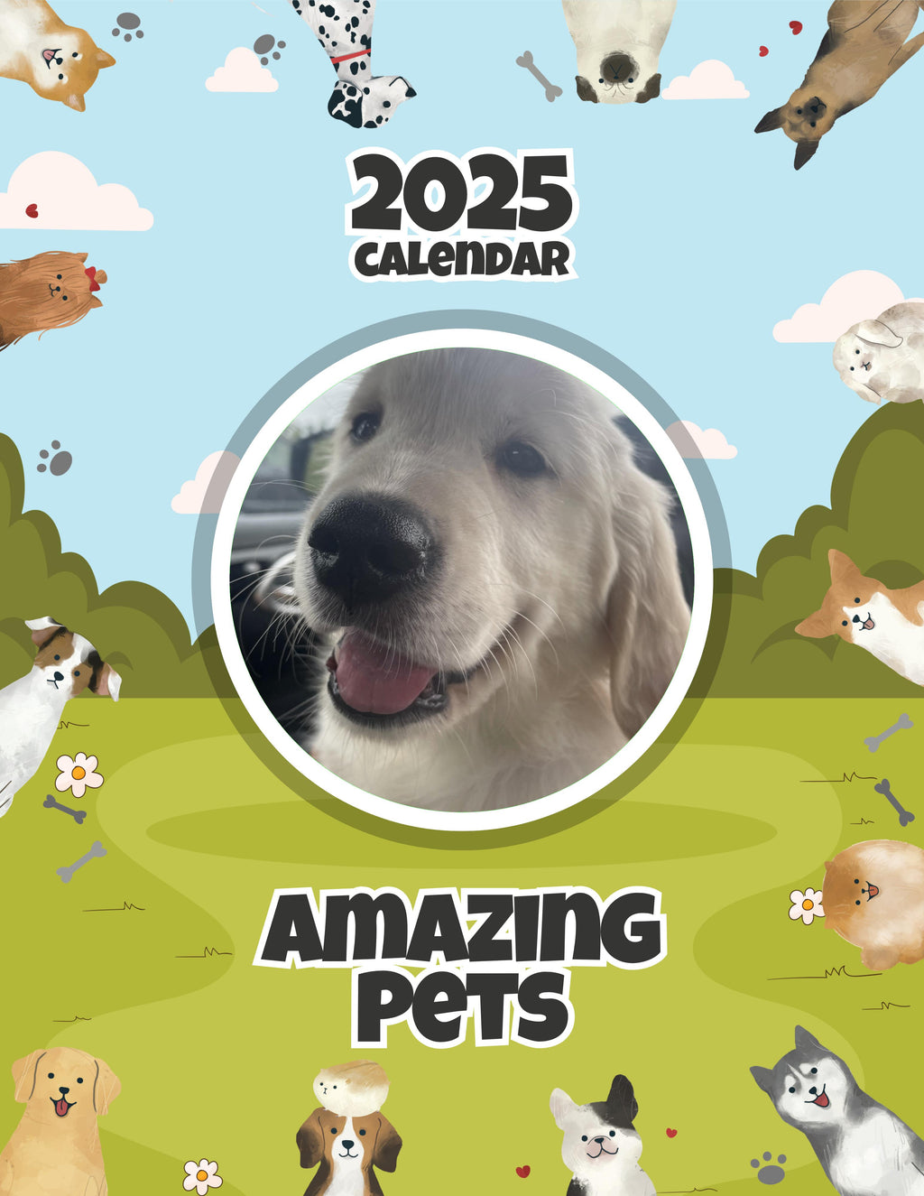 Amazing Pets: 2025 Wall Calendar (Pre-Order)