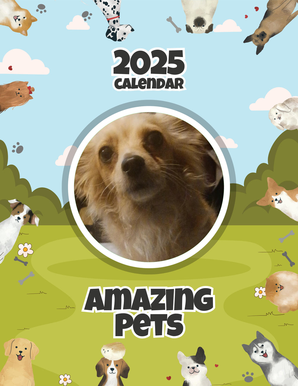 Amazing Pets: 2025 Wall Calendar (Pre-Order)