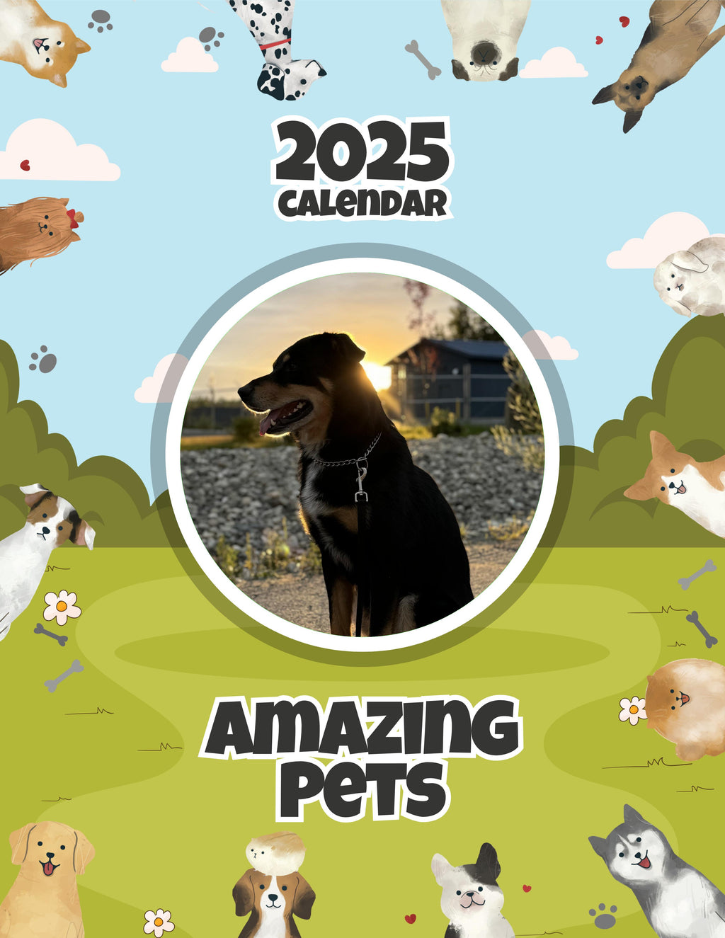 Amazing Pets: 2025 Wall Calendar (Pre-Order)
