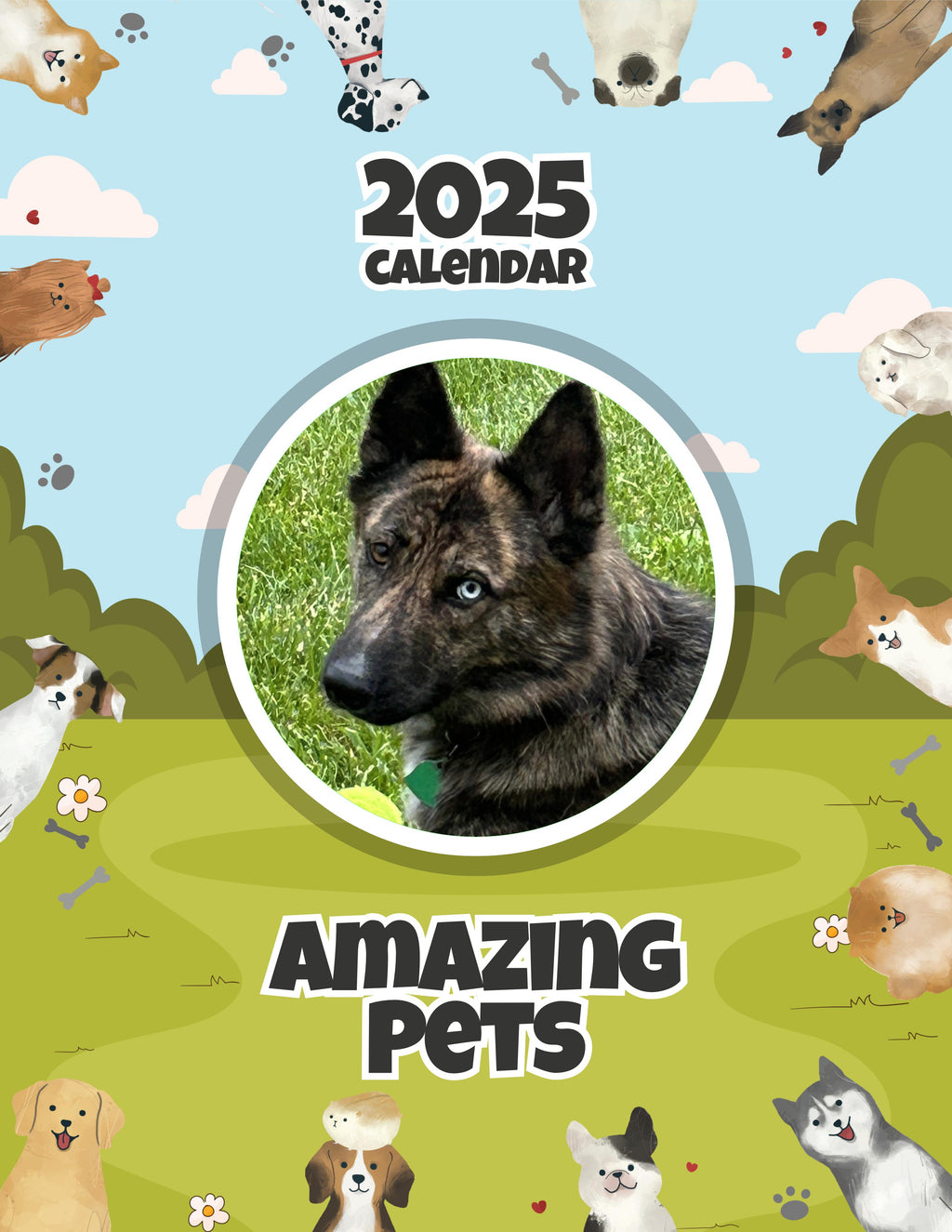 Amazing Pets: 2025 Wall Calendar (Pre-Order)