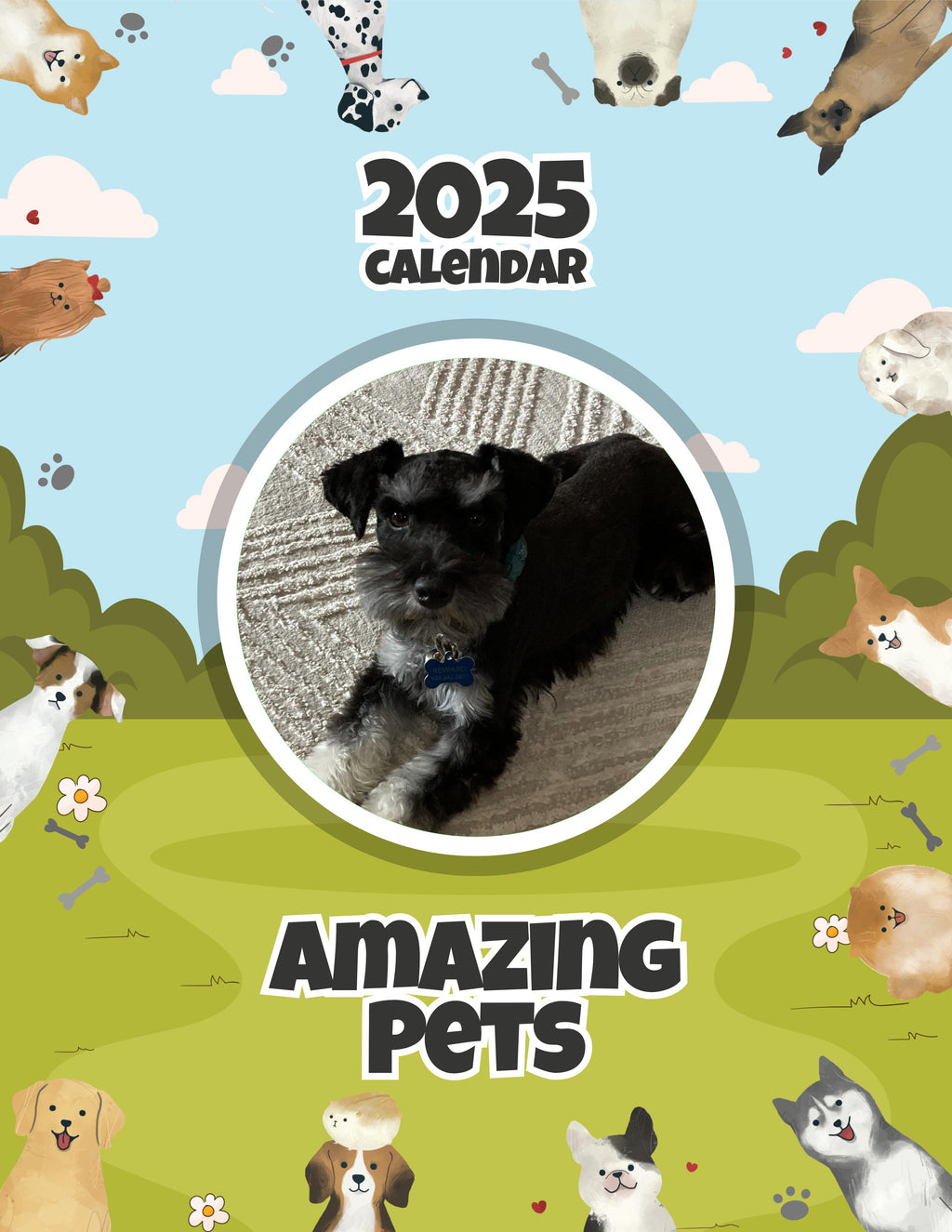 Amazing Pets: 2025 Wall Calendar (Pre-Order)