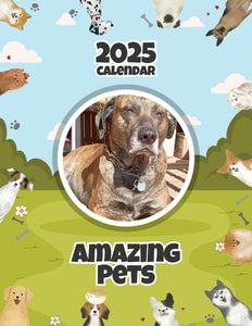 Amazing Pets: 2025 Wall Calendar (Pre-Order)