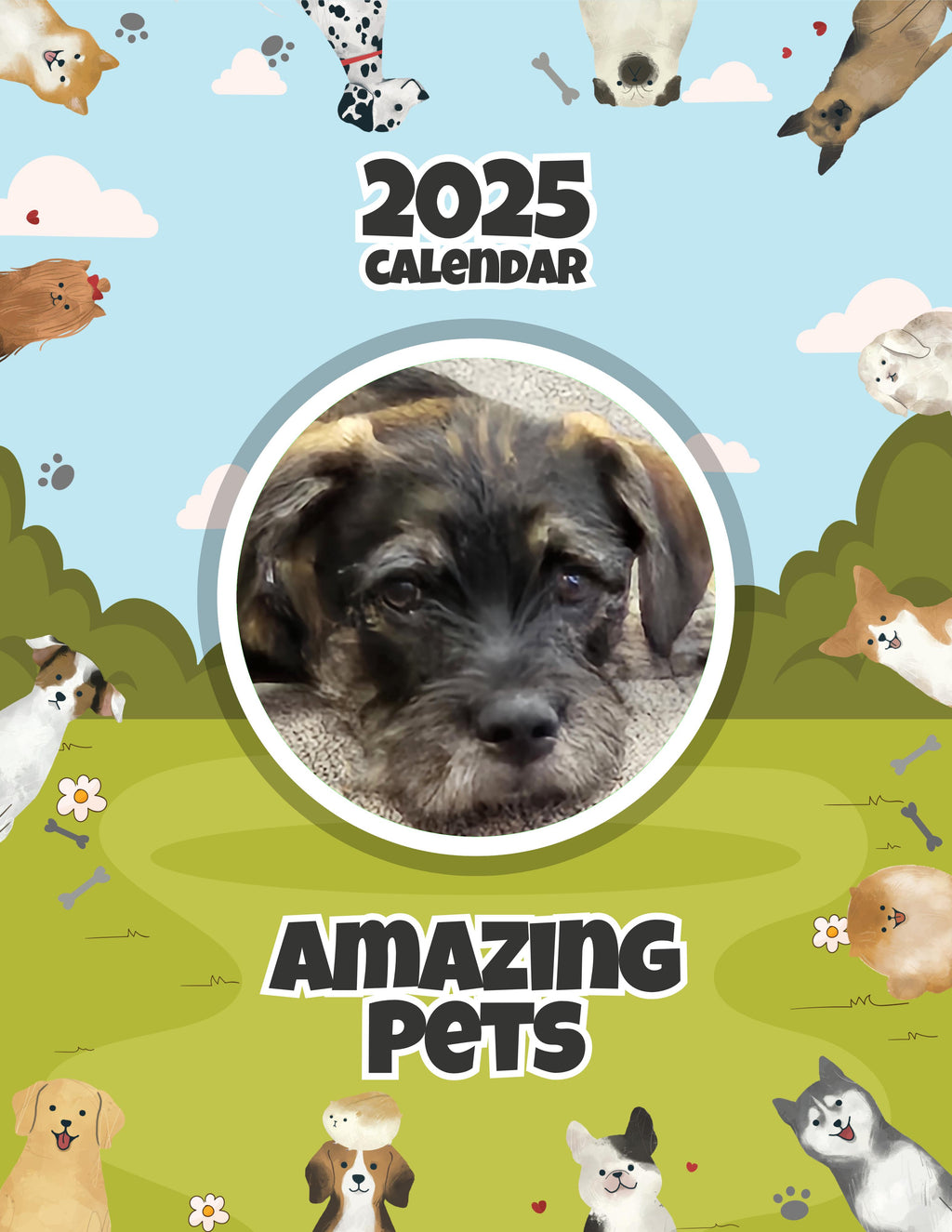 Amazing Pets: 2025 Wall Calendar (Pre-Order)