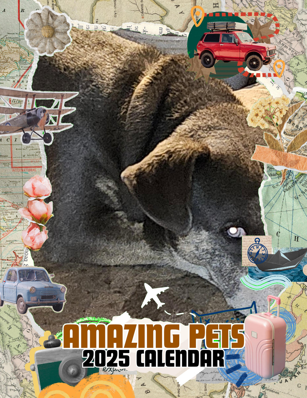 Amazing Pets: 2025 Wall Calendar (Pre-Order)
