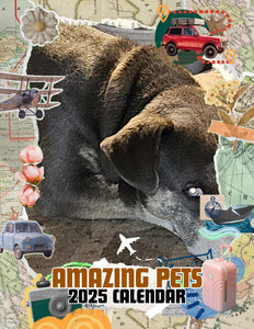 Amazing Pets: 2025 Wall Calendar (Pre-Order)