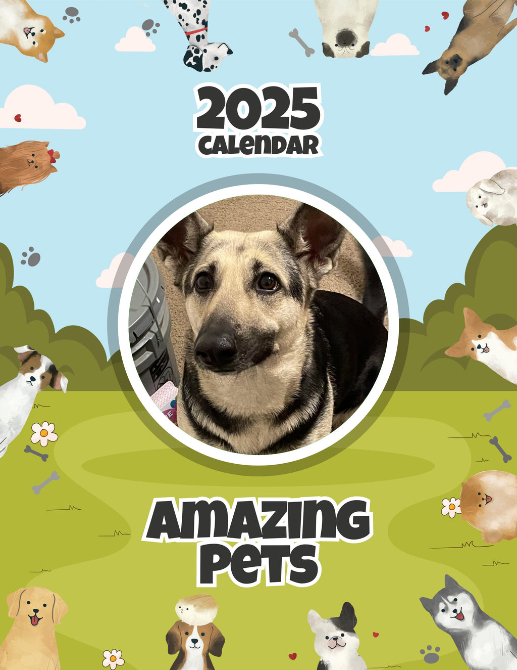 Amazing Pets: 2025 Wall Calendar (Pre-Order)