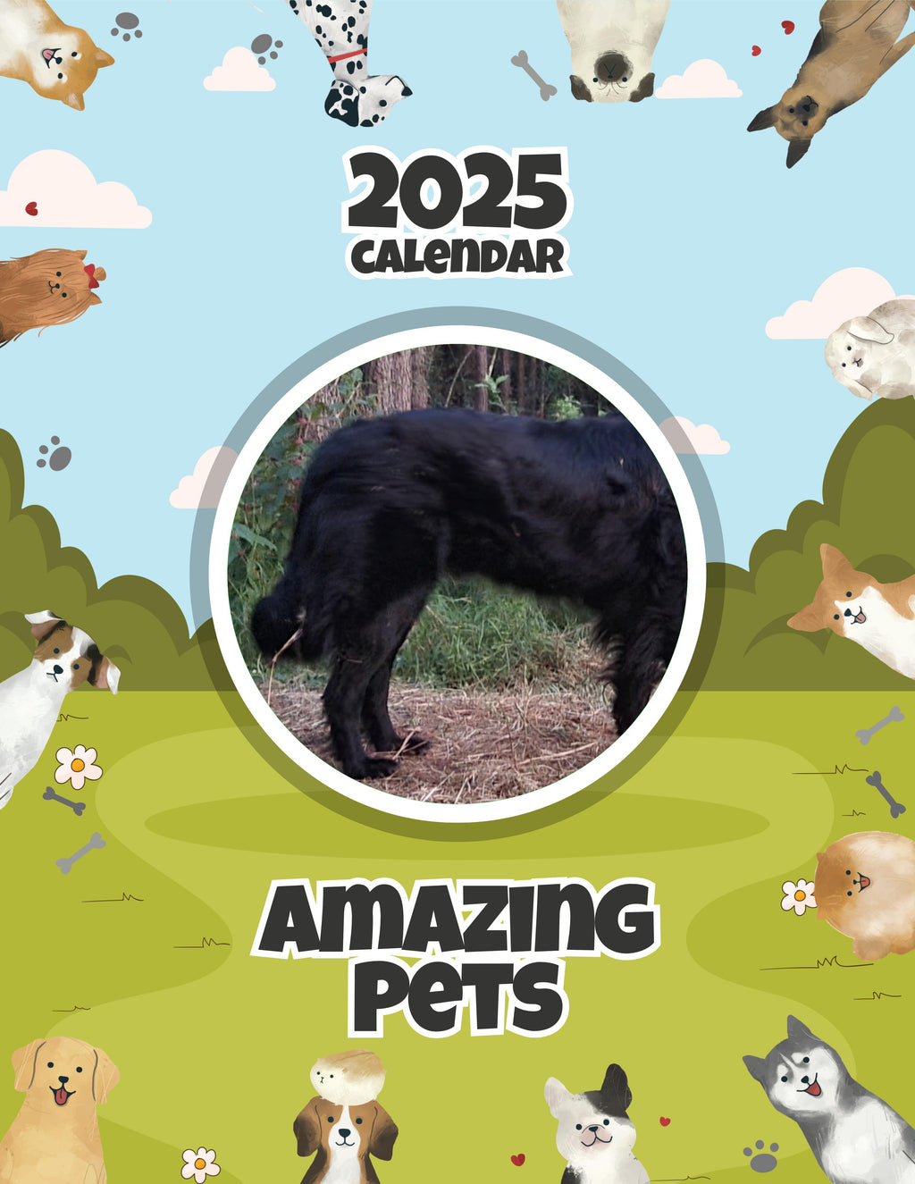 Amazing Pets: 2025 Wall Calendar (Pre-Order)