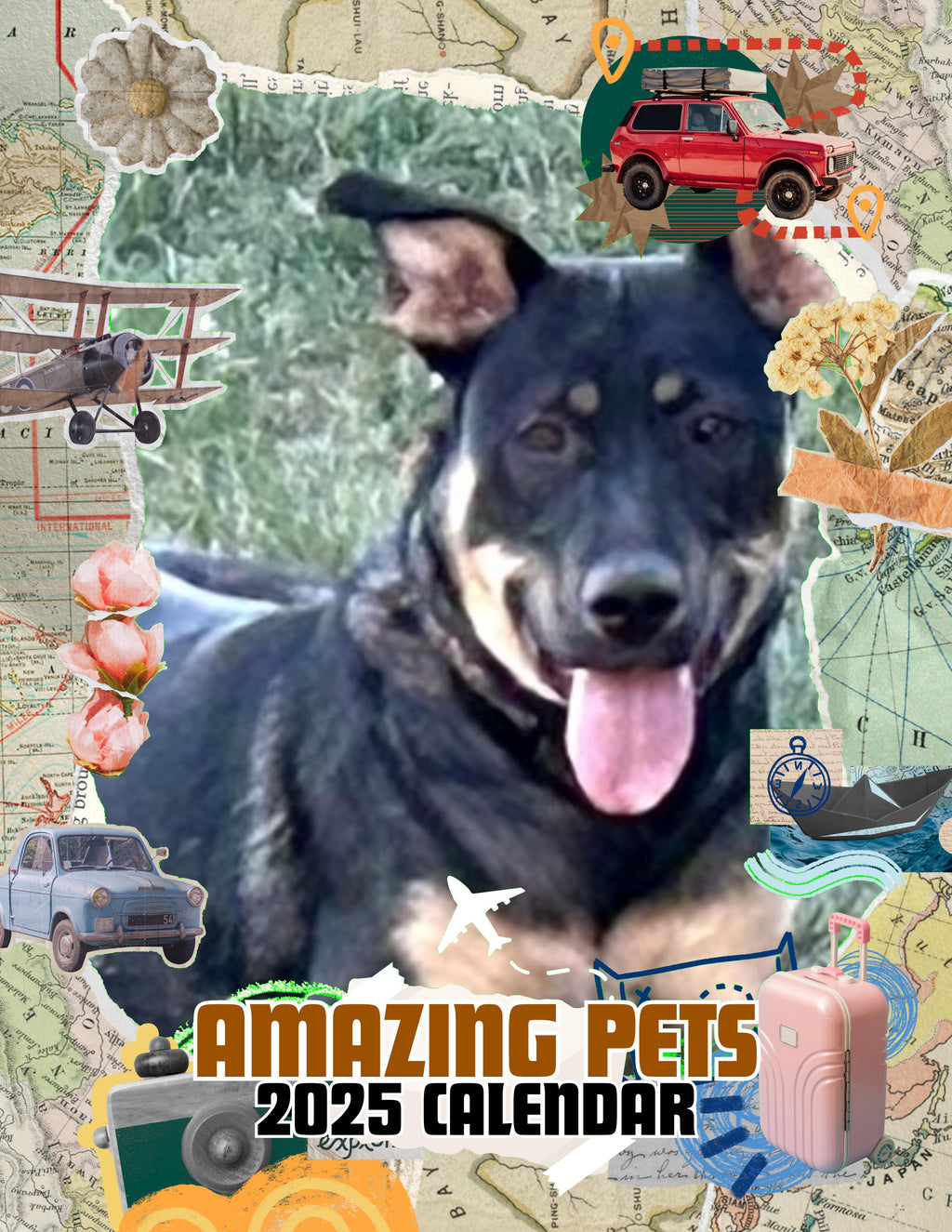 Amazing Pets: 2025 Wall Calendar (Pre-Order)
