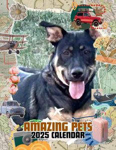 Amazing Pets: 2025 Wall Calendar (Pre-Order)