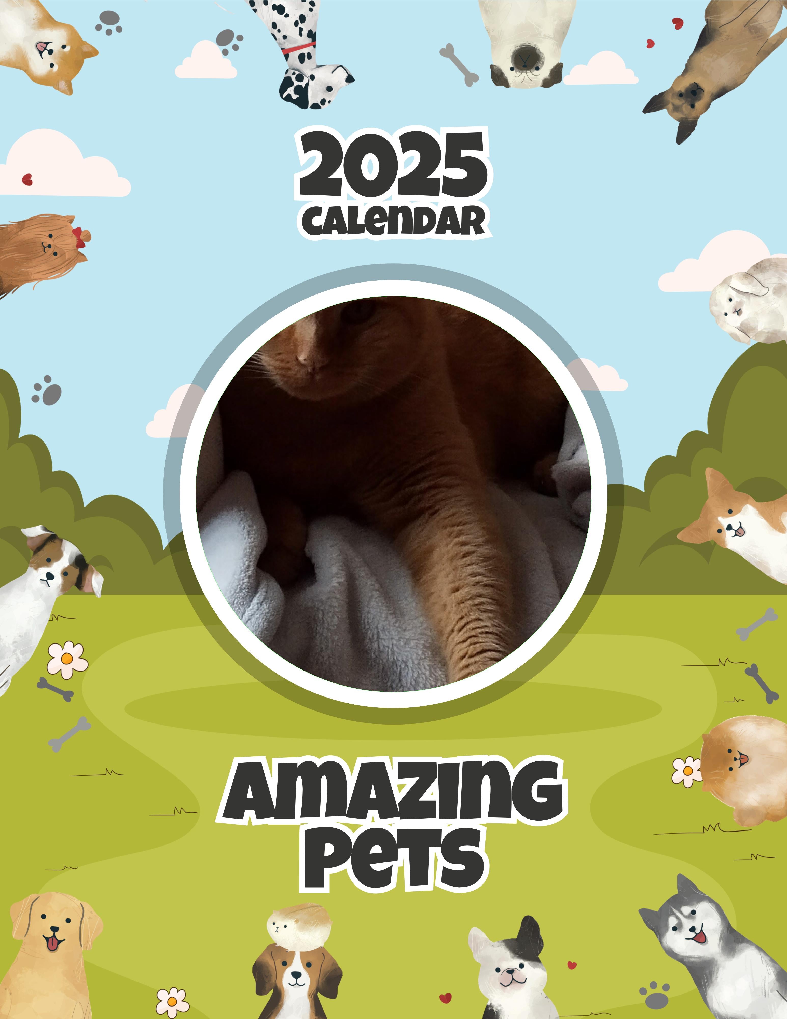 Amazing Pets: 2025 Wall Calendar (Pre-Order)