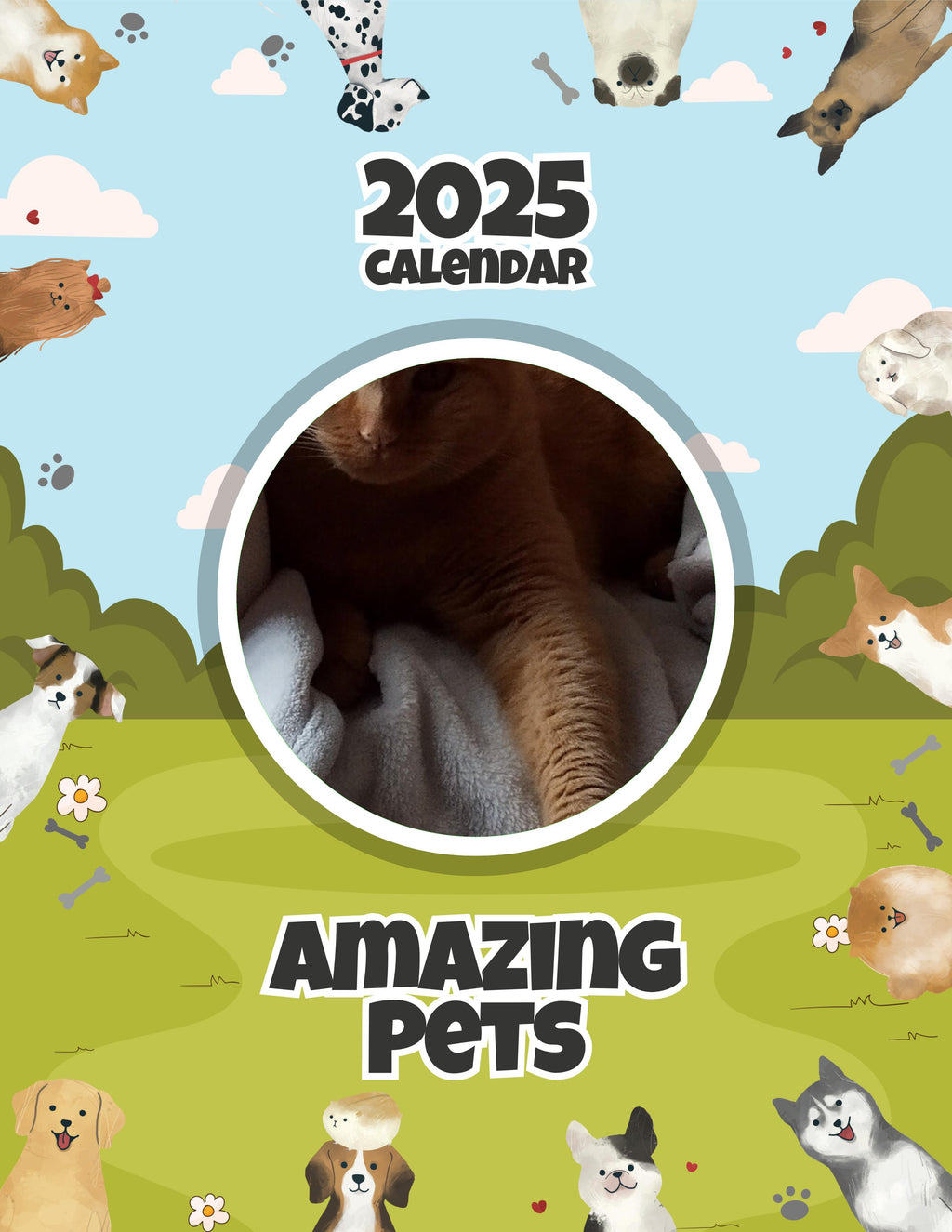 Amazing Pets: 2025 Wall Calendar (Pre-Order)