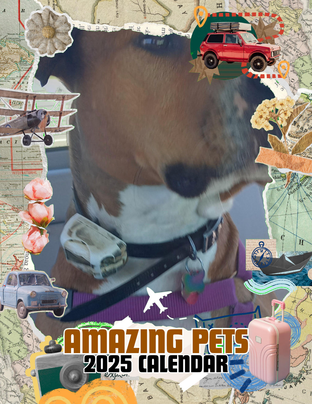 Amazing Pets: 2025 Wall Calendar (Pre-Order)
