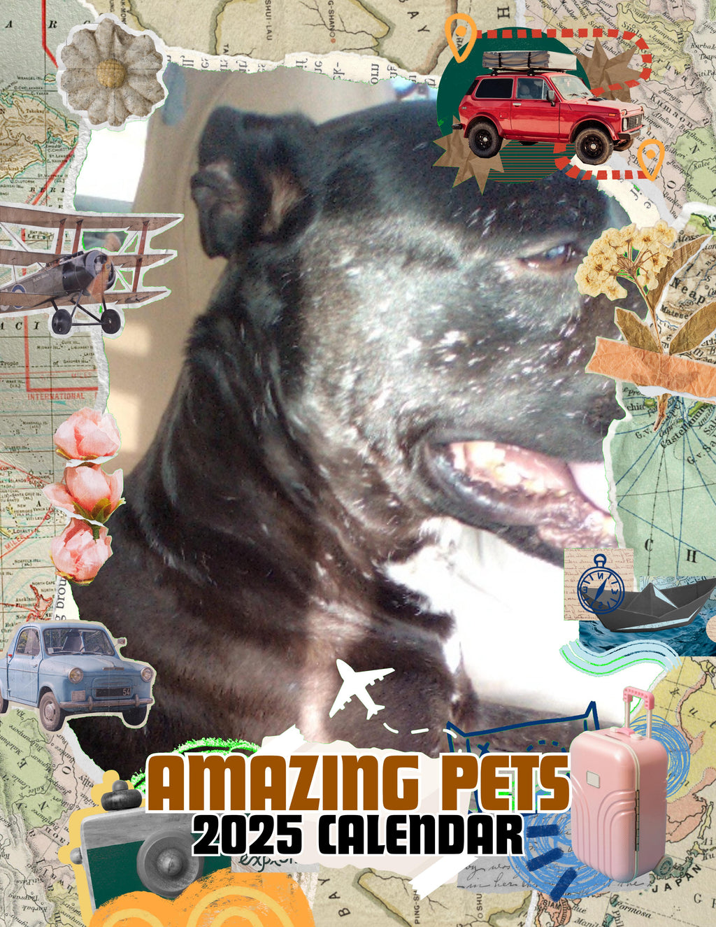 Amazing Pets: 2025 Wall Calendar (Pre-Order)