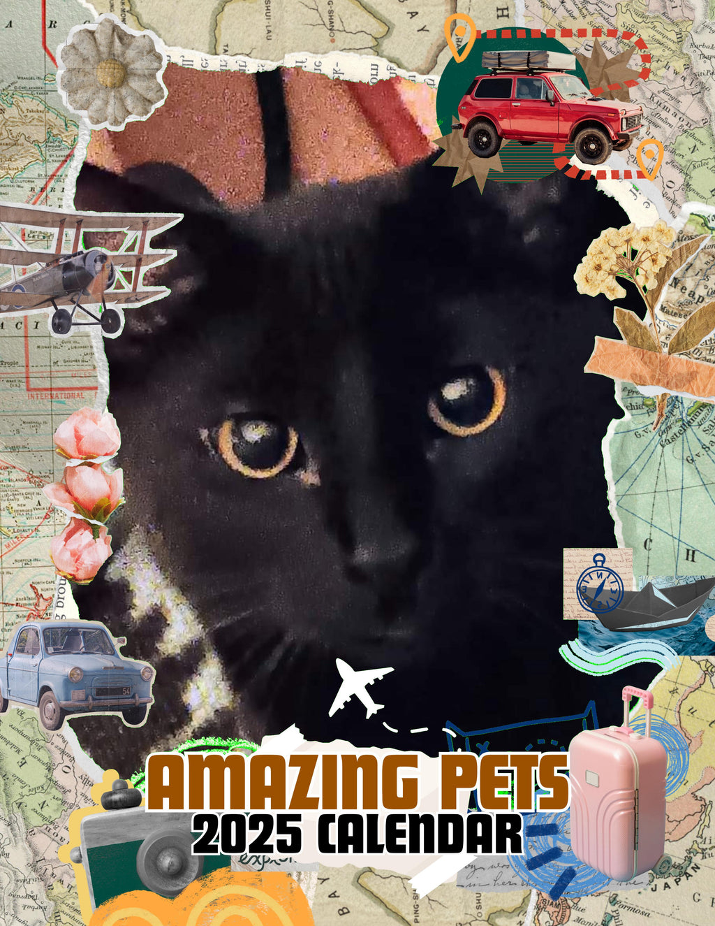 Amazing Pets: 2025 Wall Calendar (Pre-Order)