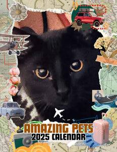 Amazing Pets: 2025 Wall Calendar (Pre-Order)