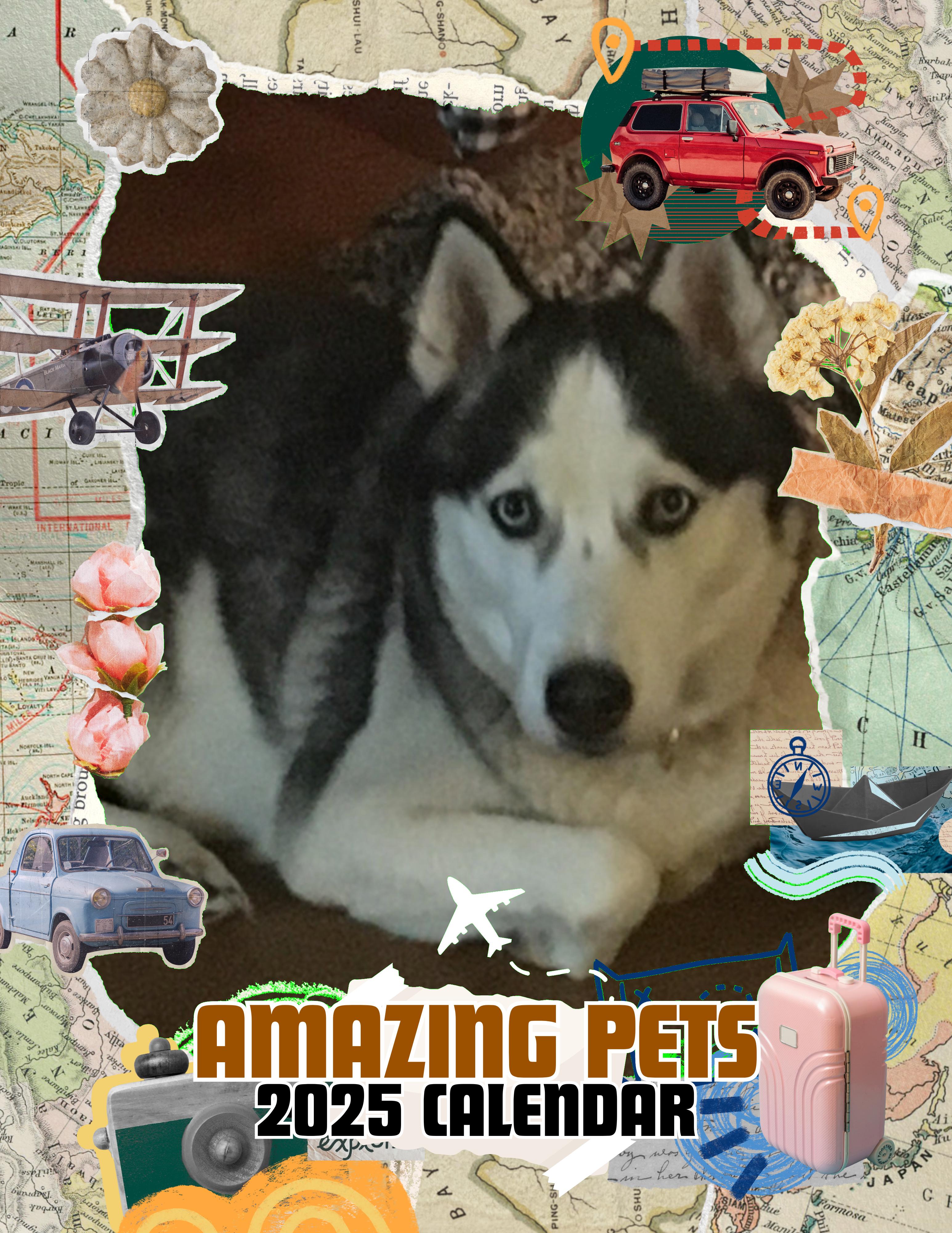 Amazing Pets: 2025 Wall Calendar (Pre-Order)