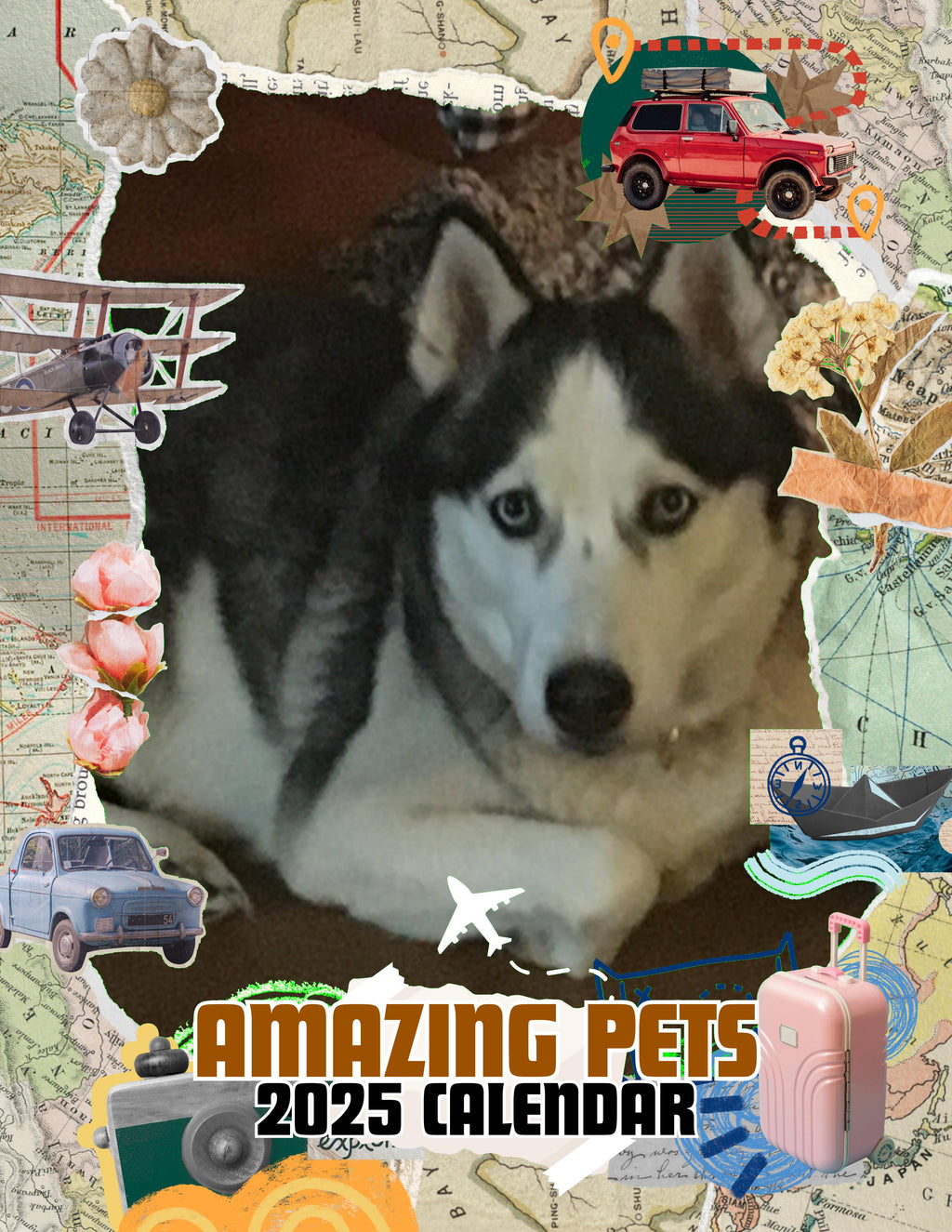 Amazing Pets: 2025 Wall Calendar (Pre-Order)
