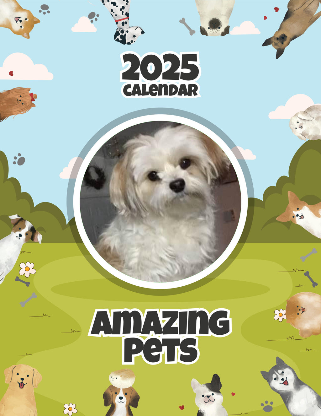 Amazing Pets: 2025 Wall Calendar (Pre-Order)