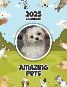 Amazing Pets: 2025 Wall Calendar (Pre-Order)