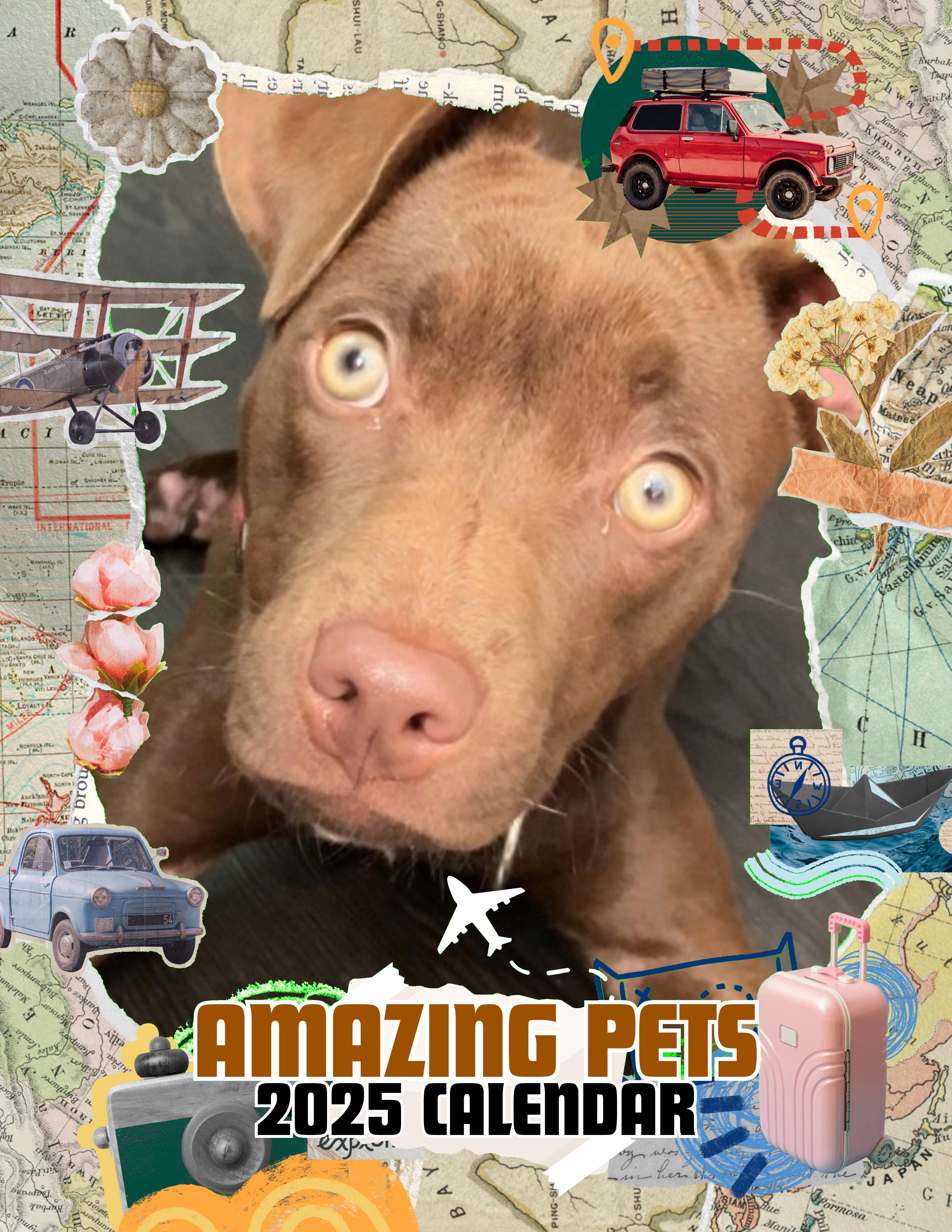 Amazing Pets: 2025 Wall Calendar (Pre-Order)