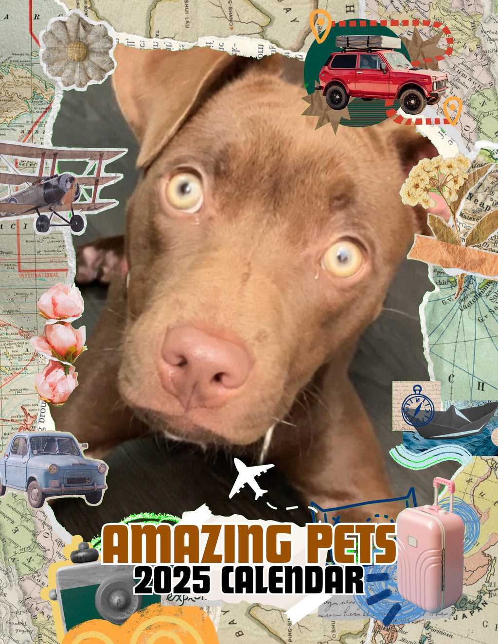Amazing Pets: 2025 Wall Calendar (Pre-Order)