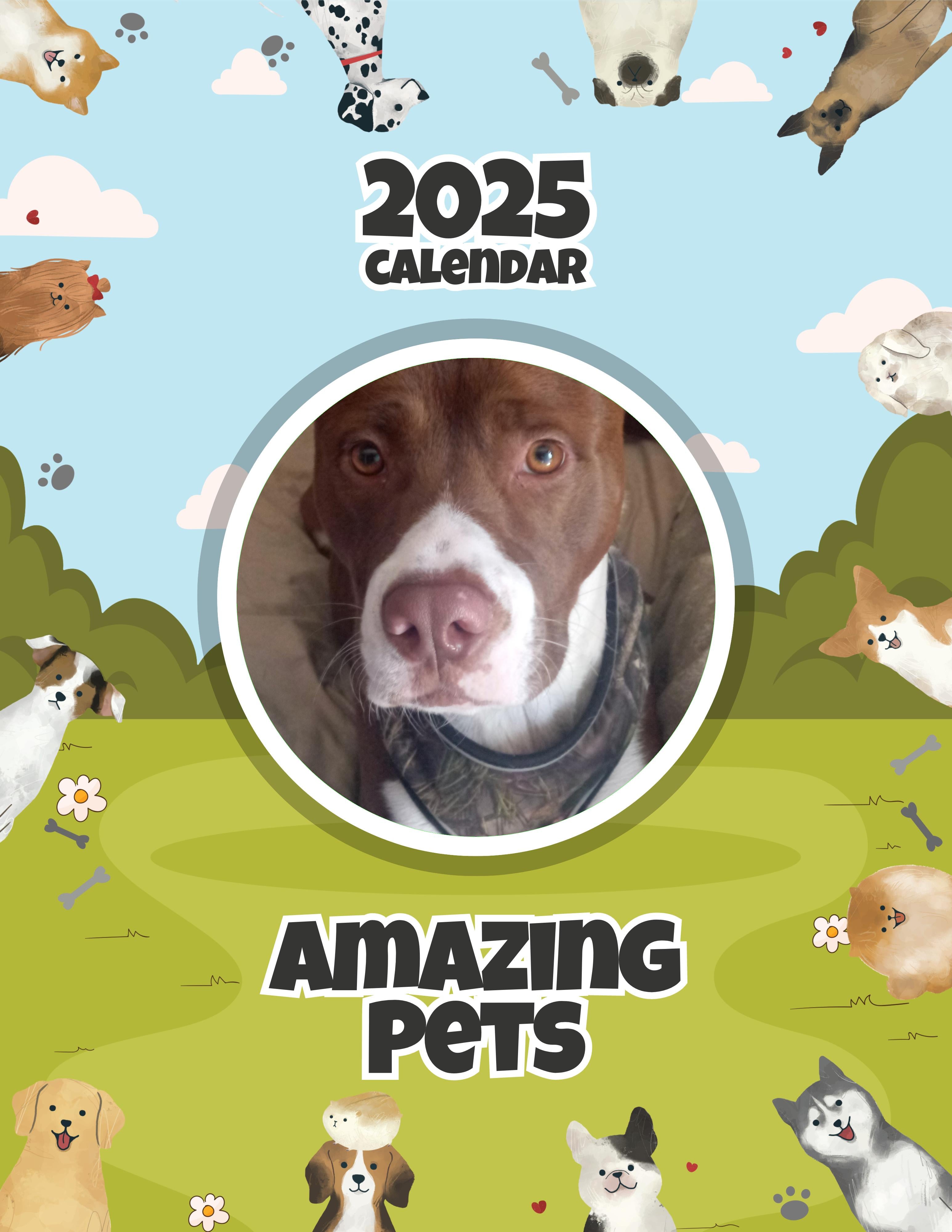 Amazing Pets: 2025 Wall Calendar (Pre-Order)