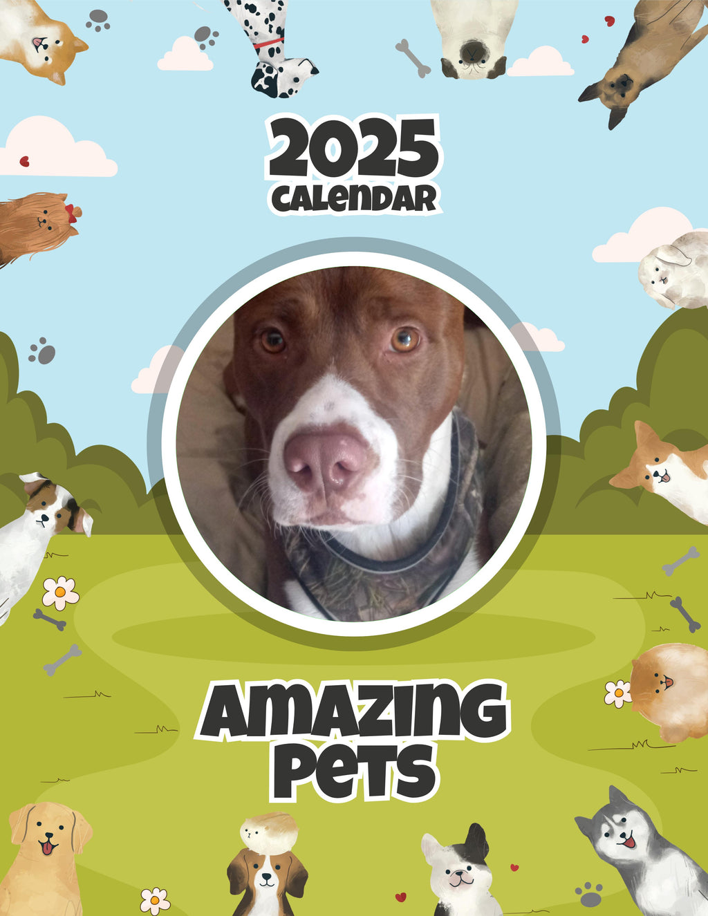 Amazing Pets: 2025 Wall Calendar (Pre-Order)