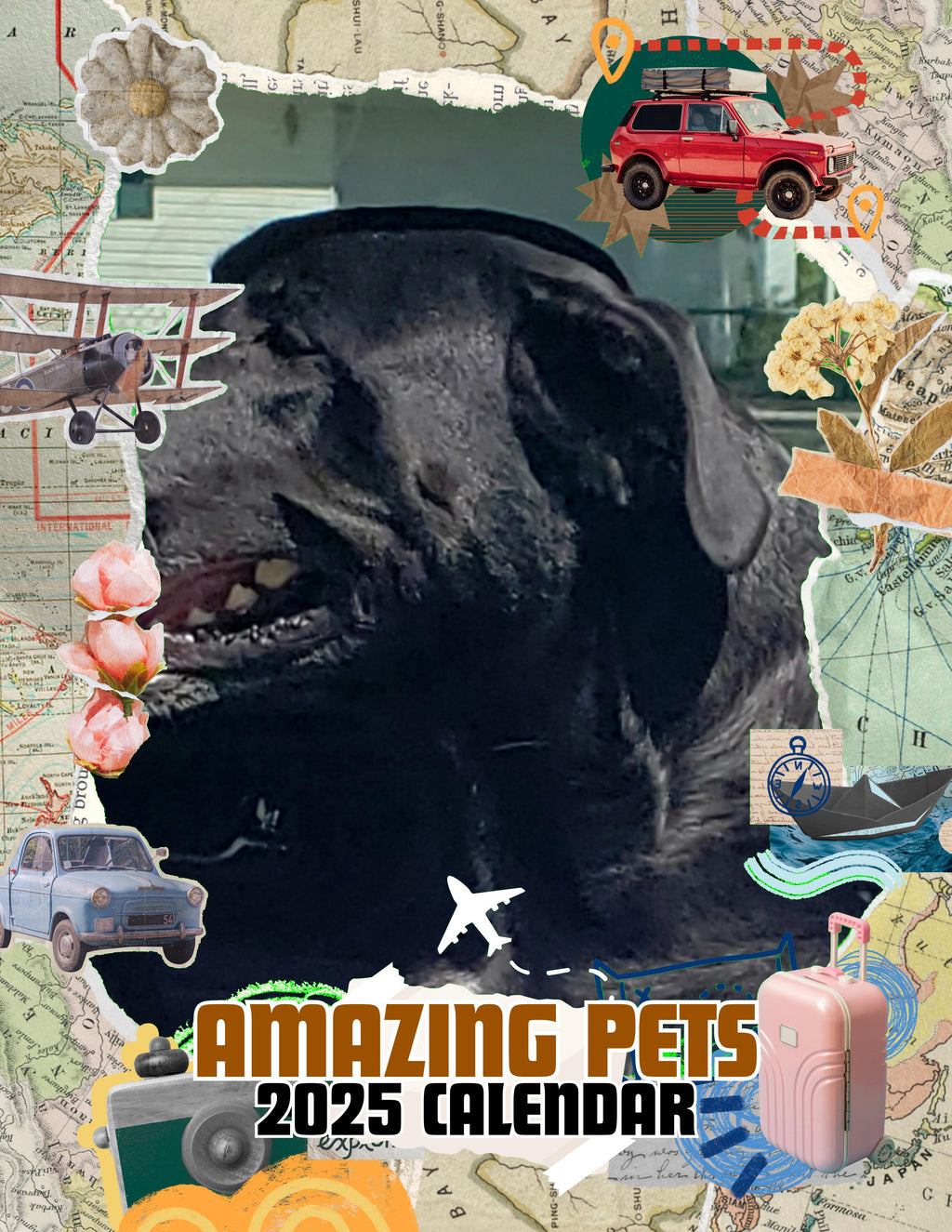 Amazing Pets: 2025 Wall Calendar (Pre-Order)