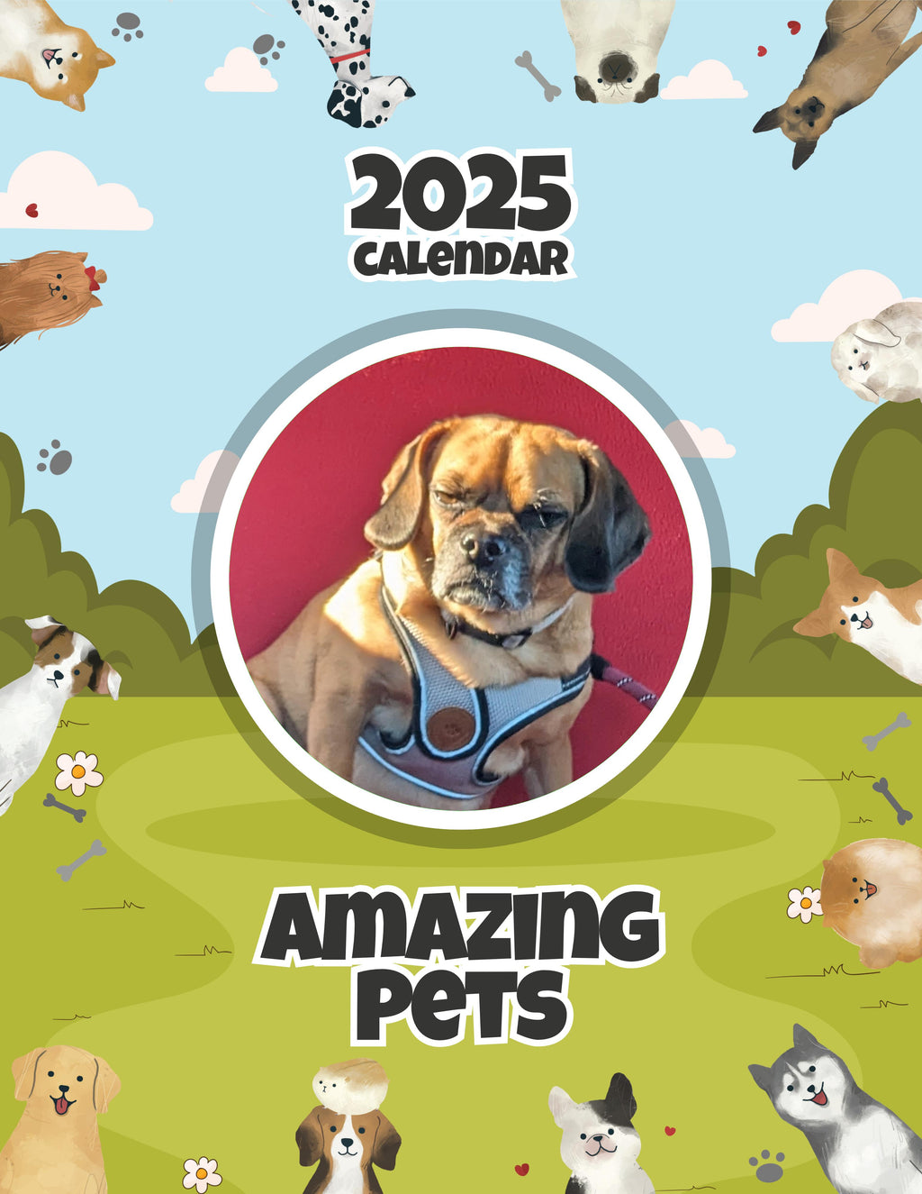 Amazing Pets: 2025 Wall Calendar (Pre-Order)