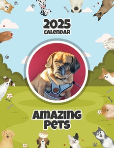 Amazing Pets: 2025 Wall Calendar (Pre-Order)