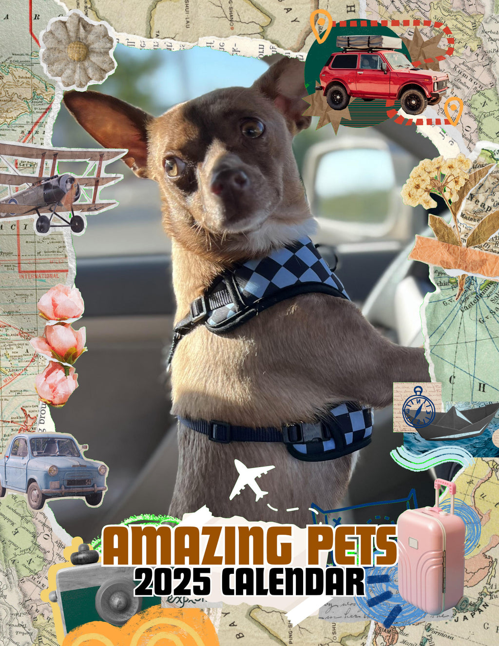 Amazing Pets: 2025 Wall Calendar (Pre-Order)