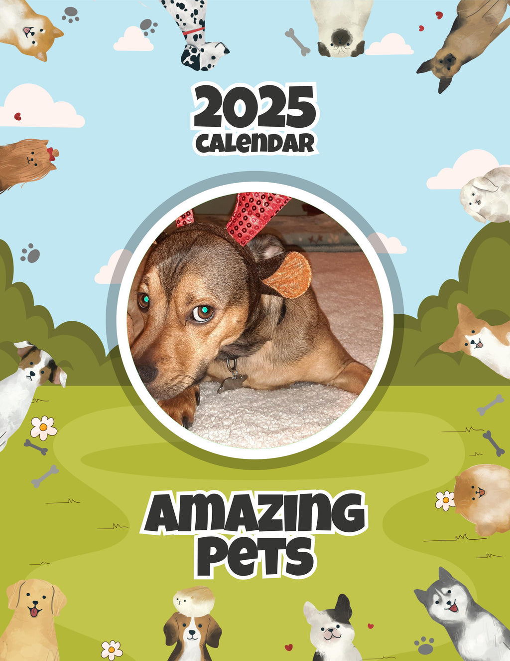 Amazing Pets: 2025 Wall Calendar (Pre-Order)