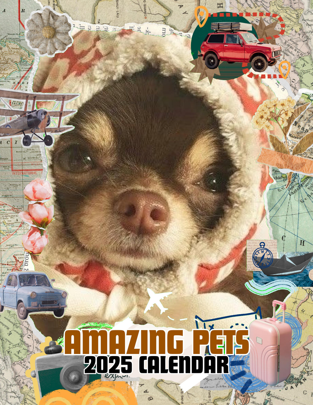 Amazing Pets: 2025 Wall Calendar (Pre-Order)