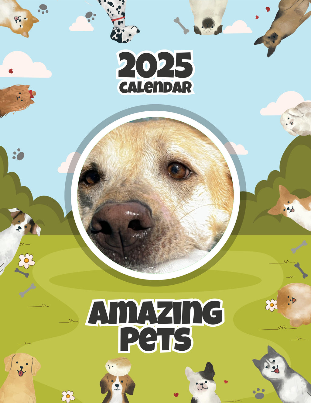Amazing Pets: 2025 Wall Calendar (Pre-Order)