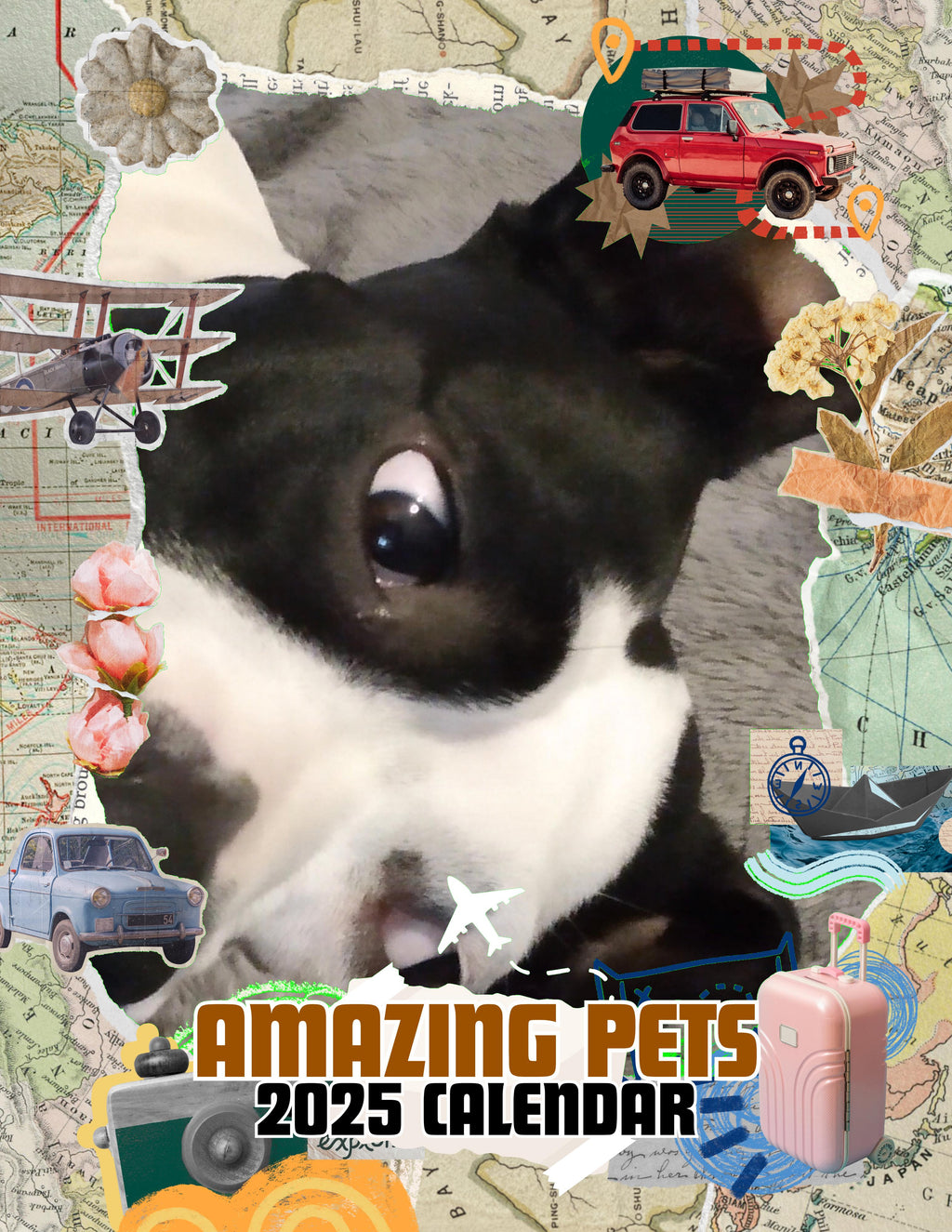 Amazing Pets: 2025 Wall Calendar (Pre-Order)