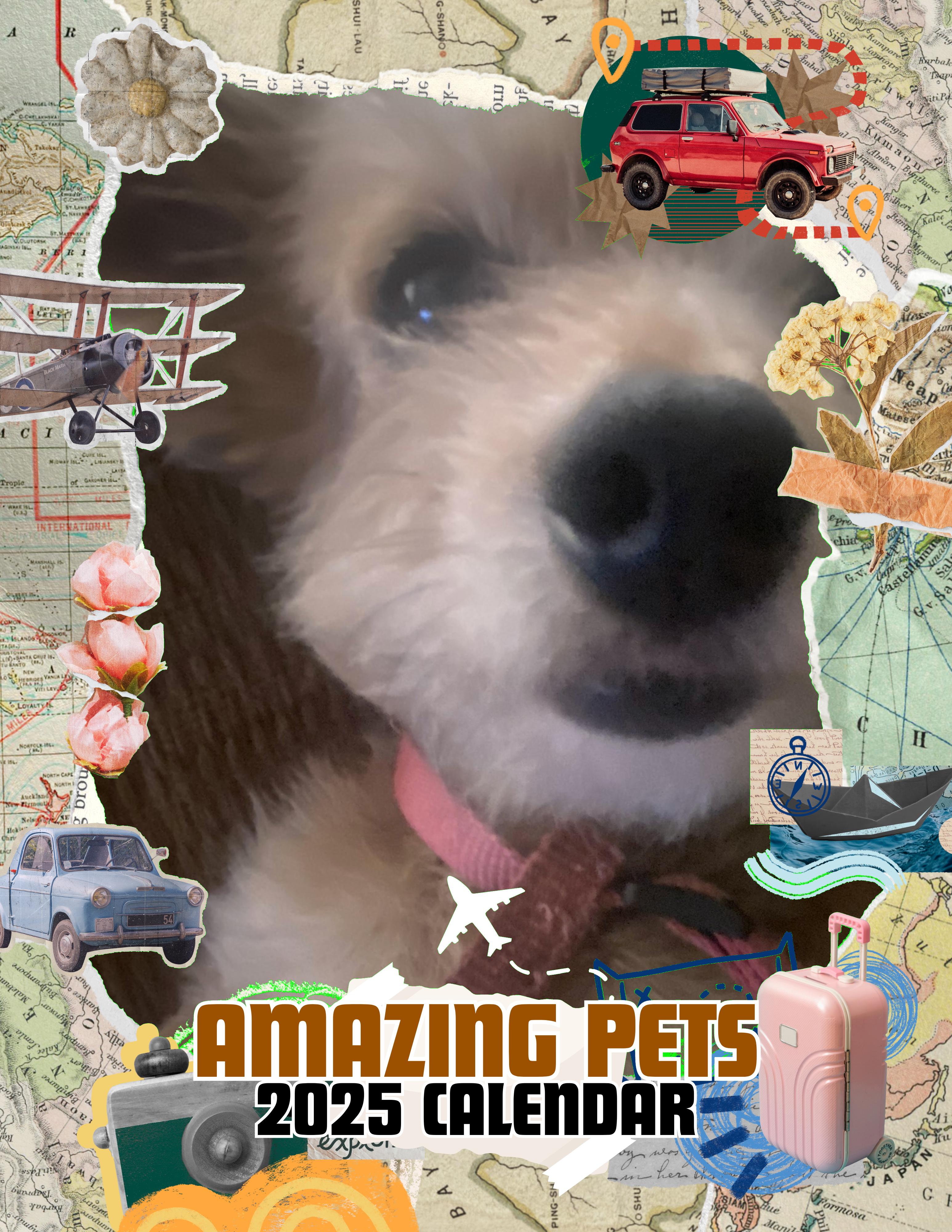Amazing Pets: 2025 Wall Calendar (Pre-Order)
