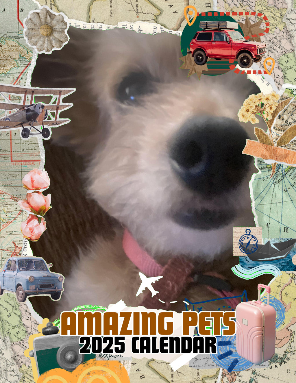 Amazing Pets: 2025 Wall Calendar (Pre-Order)