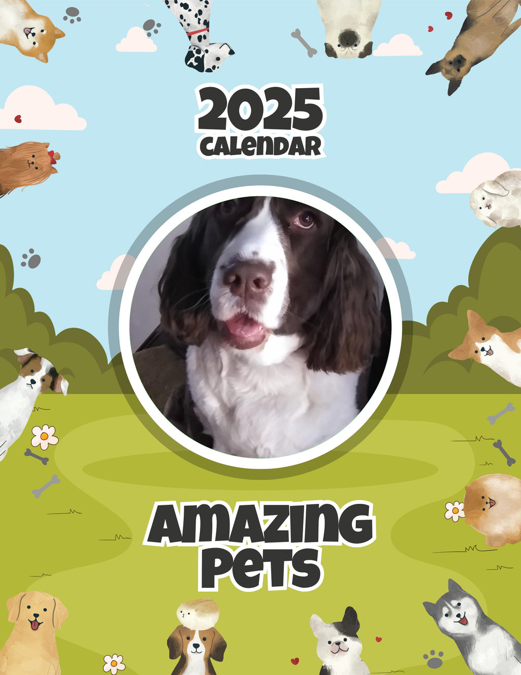 Amazing Pets: 2025 Wall Calendar (Pre-Order)