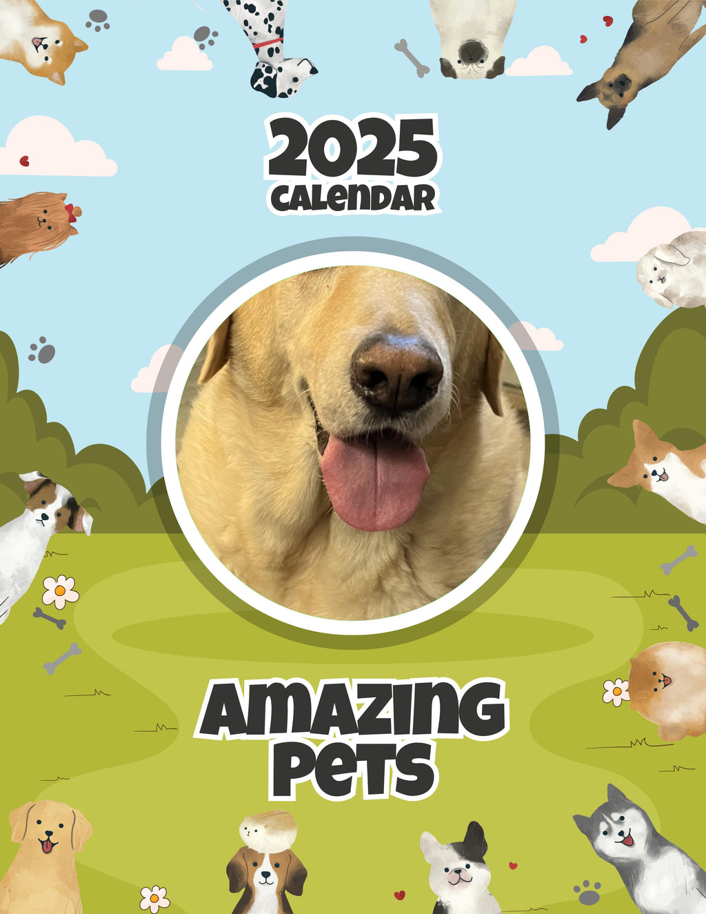 Amazing Pets: 2025 Wall Calendar (Pre-Order)