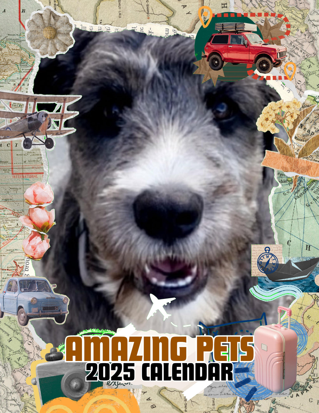 Amazing Pets: 2025 Wall Calendar (Pre-Order)