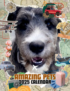Amazing Pets: 2025 Wall Calendar (Pre-Order)