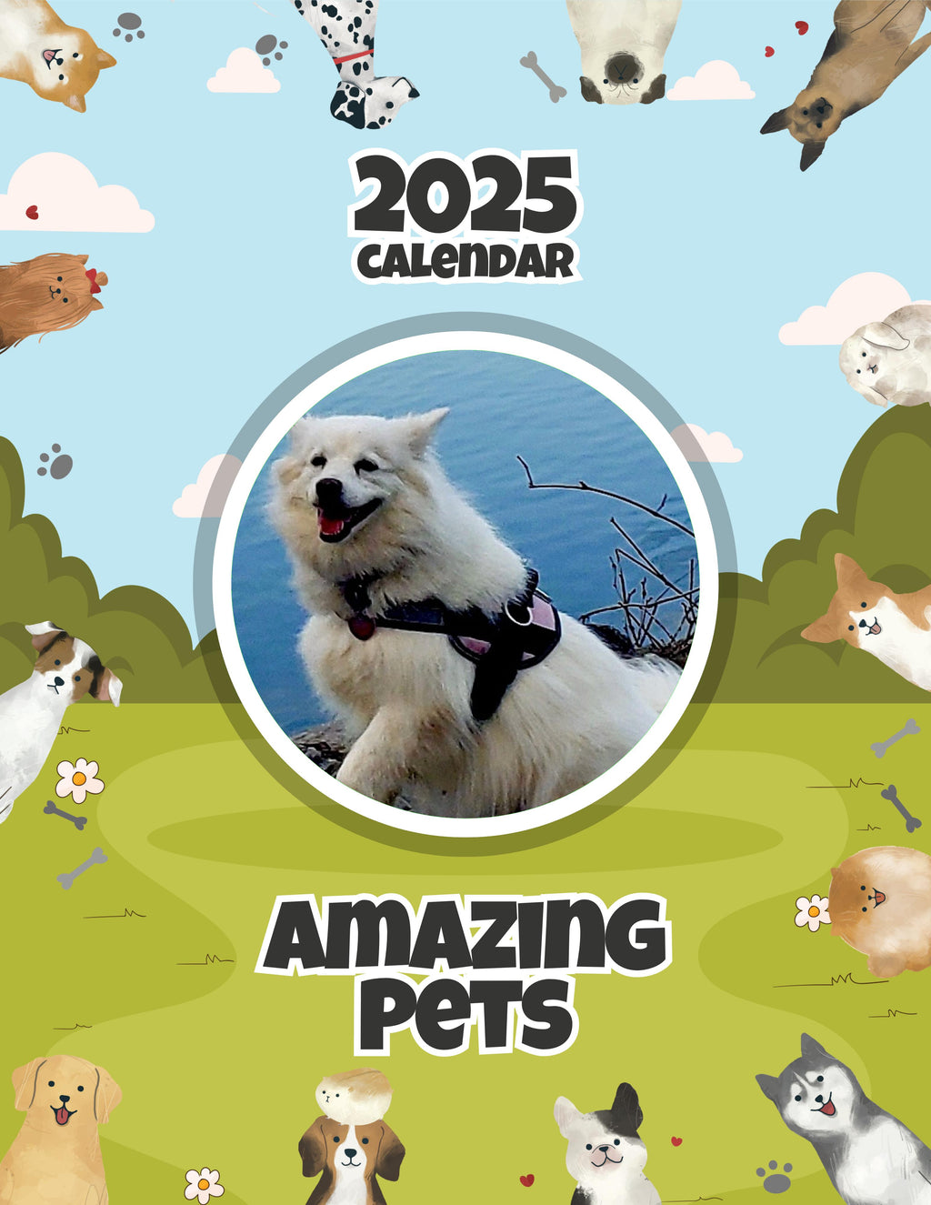 Amazing Pets: 2025 Wall Calendar (Pre-Order)
