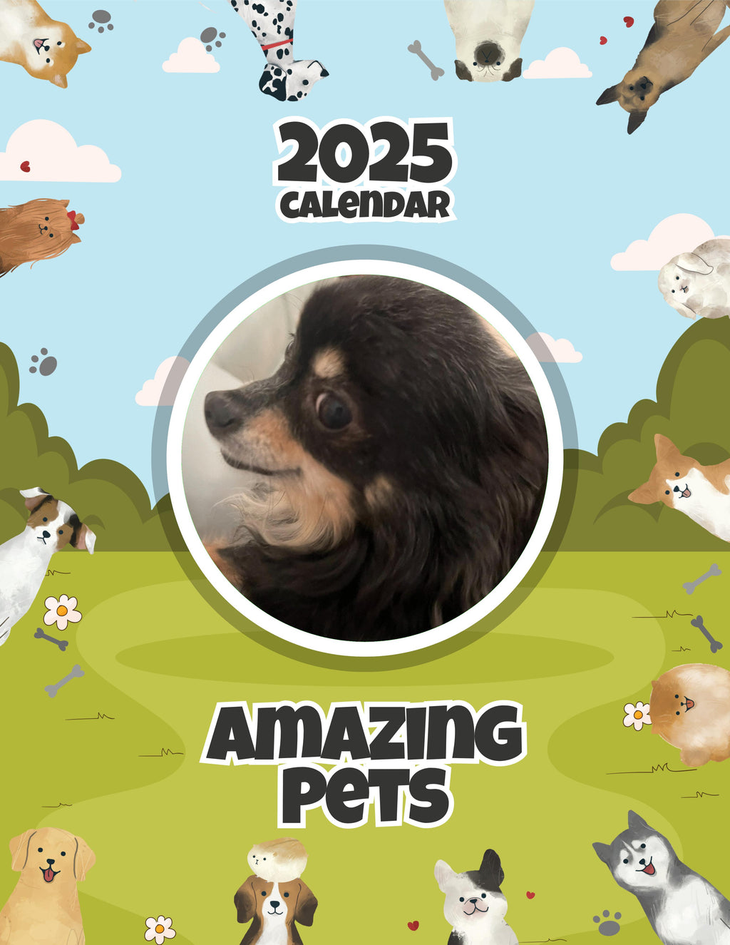 Amazing Pets: 2025 Wall Calendar (Pre-Order)